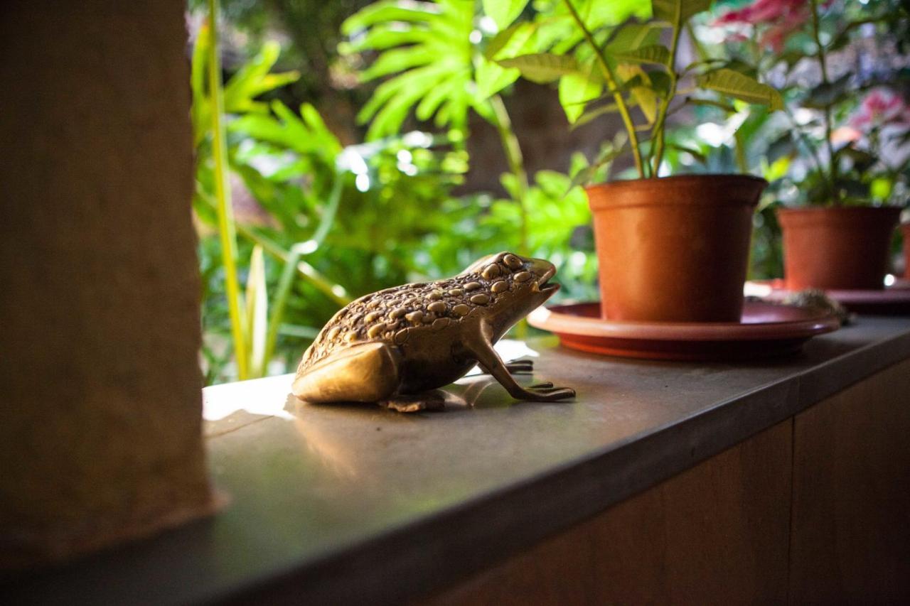 Serendipity House Goa Nerul  Номер фото